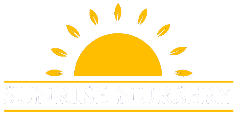 sunrise-nursery